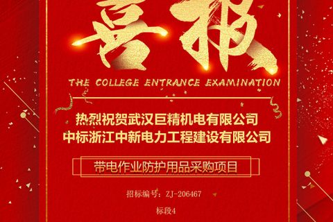 热烈祝贺凯时娱乐中标浙江中新电力工程建设有限公司 带电作业防护用品采购项目