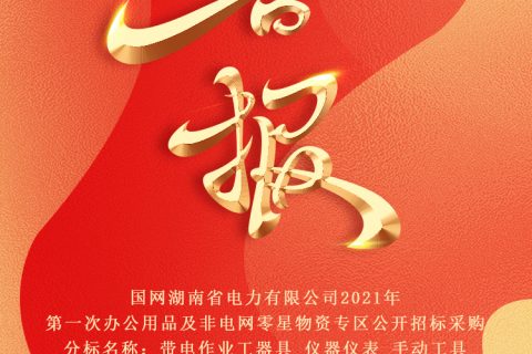 热烈祝贺凯时娱乐中标国网湖南省电力有限公司2021年第一次办公用品及非电网零星物资专区果真招标采购