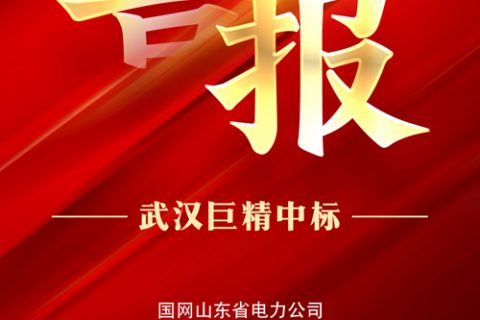 热烈祝贺凯时娱乐中标国网山东省电力公司2022年第三次物资果真招标采购项目